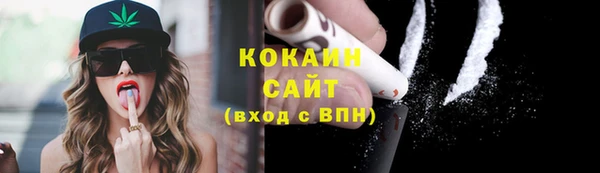 индика Армянск