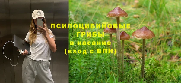 индика Армянск