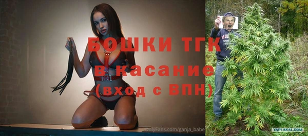 индика Армянск
